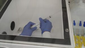 Antiviral testing