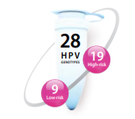 AnyplexⅡ-HPV28-Detection