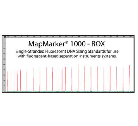 MM-ROX-1000