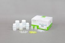 AccuPrep® Genomic DNA Extraction Kit