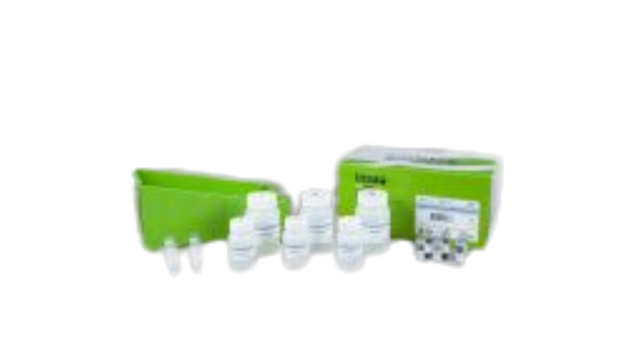 MagListo™ 5M Genomic DNA extrac Kit