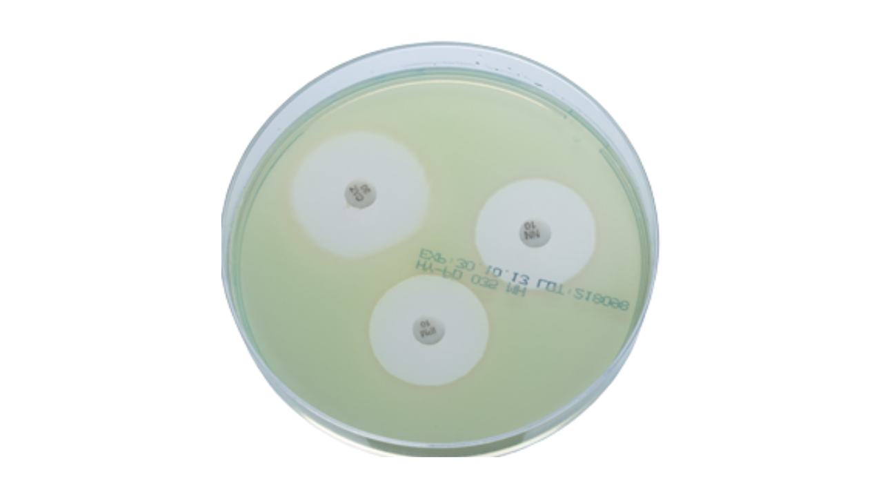 Susceptibility testing agar line