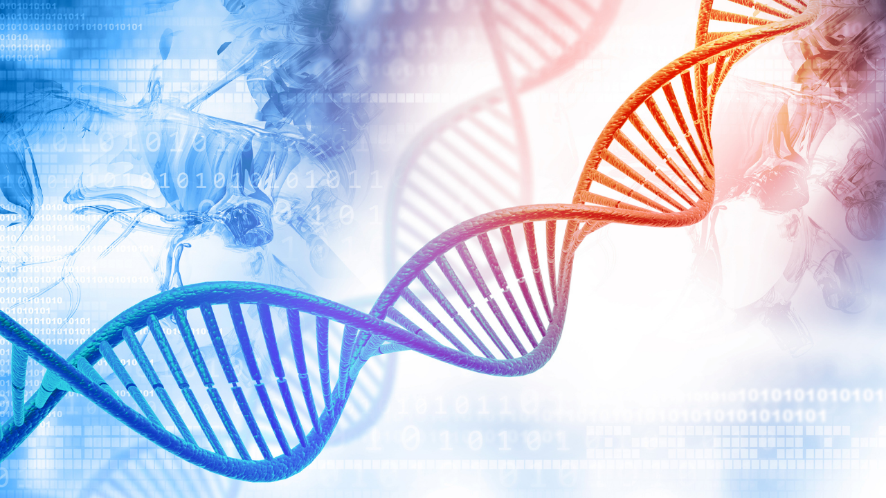 DNA Fragment (STR)