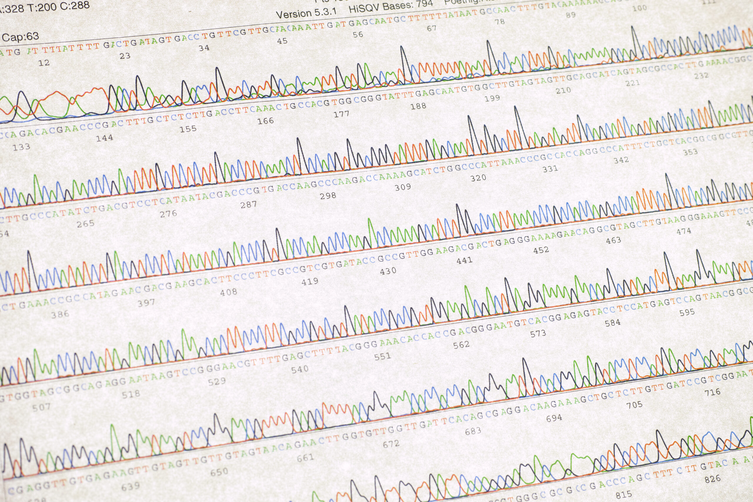 Sanger Sequencing