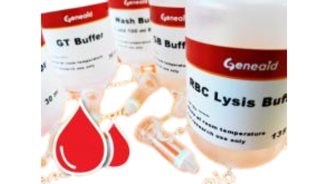 GENOMIC DNA MINI (BL0OD/CULT.)
