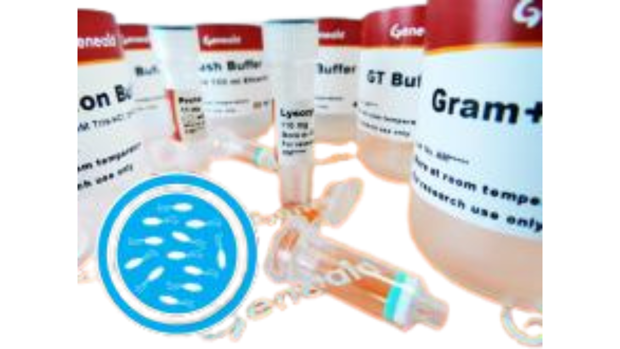 PRESTO Bacteria Genomic DNA Kit