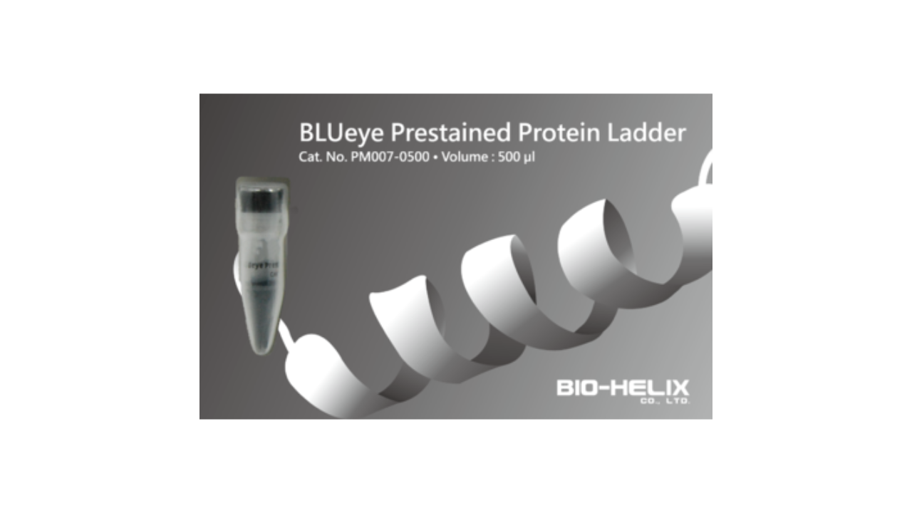 BLUeye Prestained Protein Ladder (11 to 245 kDa)