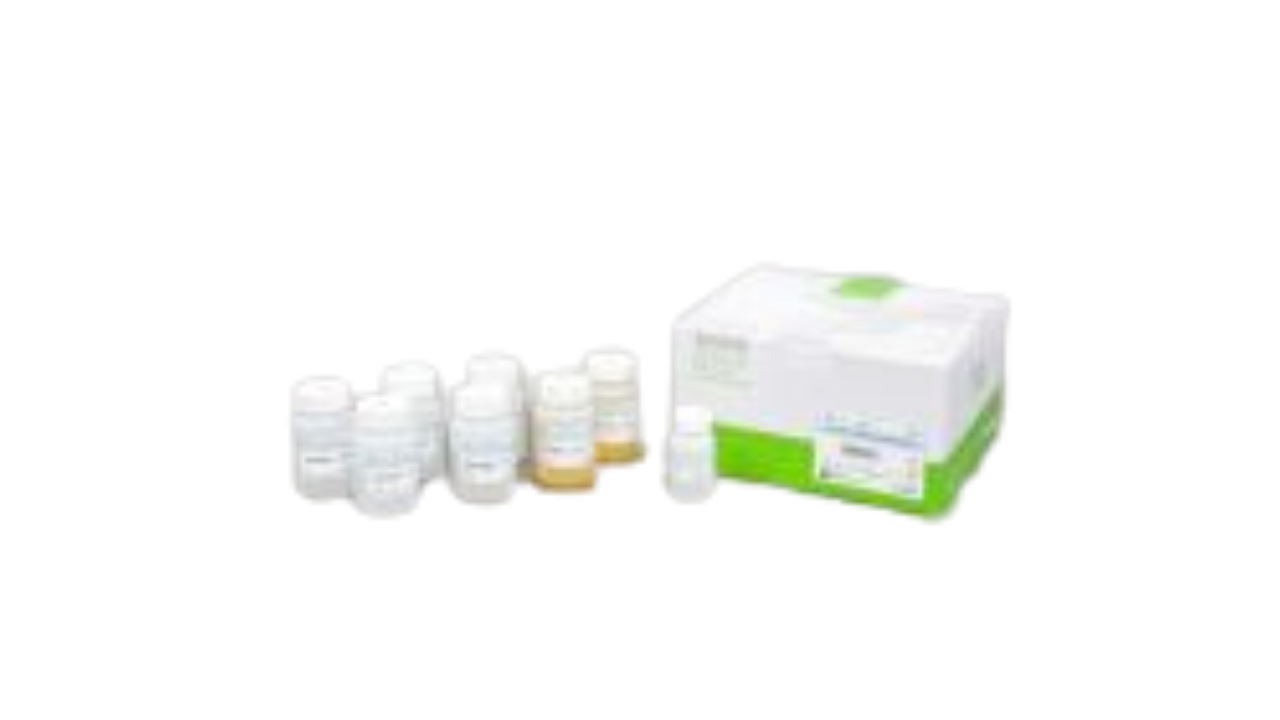 AccuPrep® PCR/Gel DNA Purification Kit